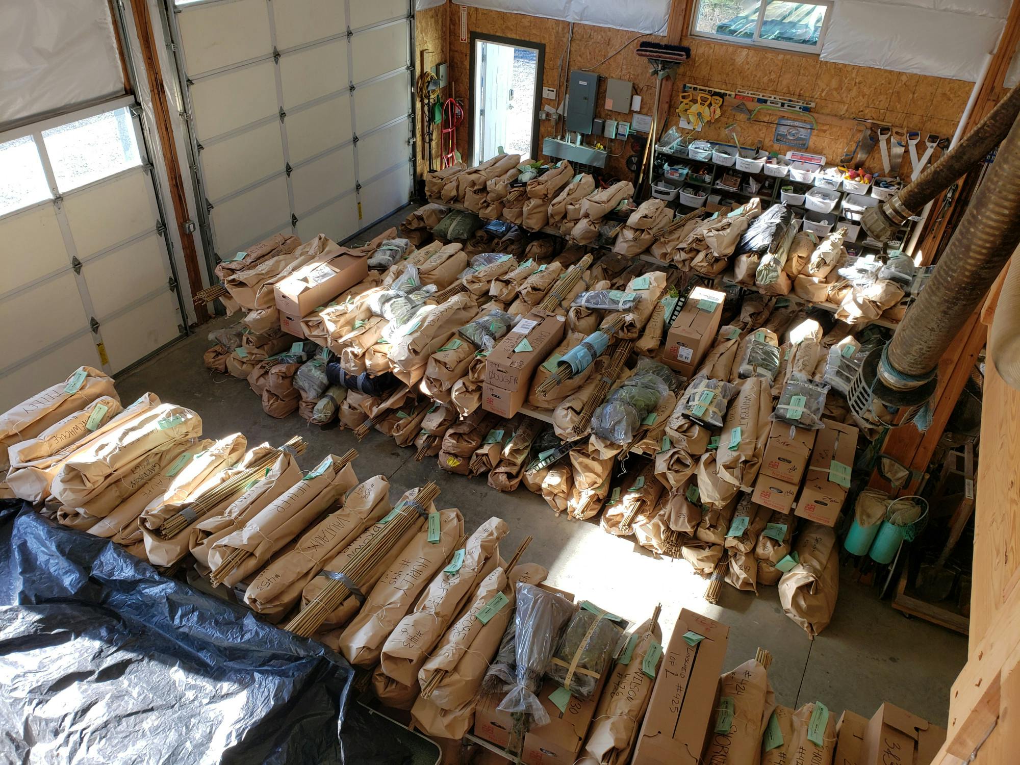 NATIVE PLANT SALE HEADER