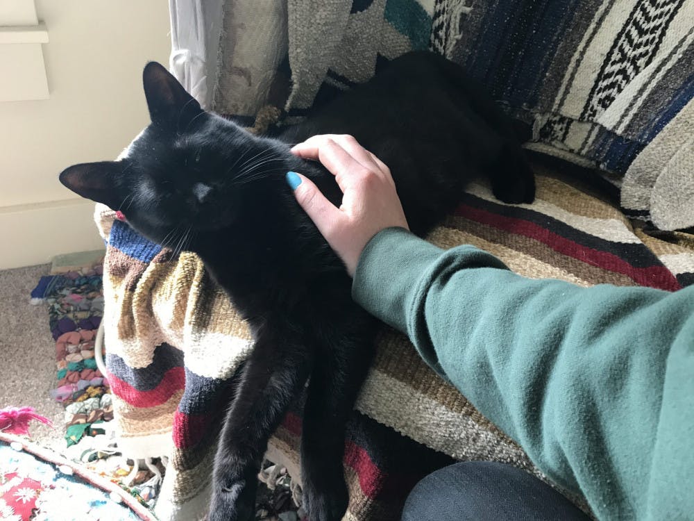 IMG_0022-e1495408786913-scaled