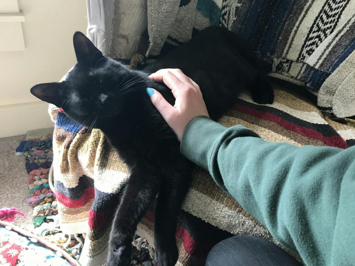 IMG_0022-e1495408786913-scaled