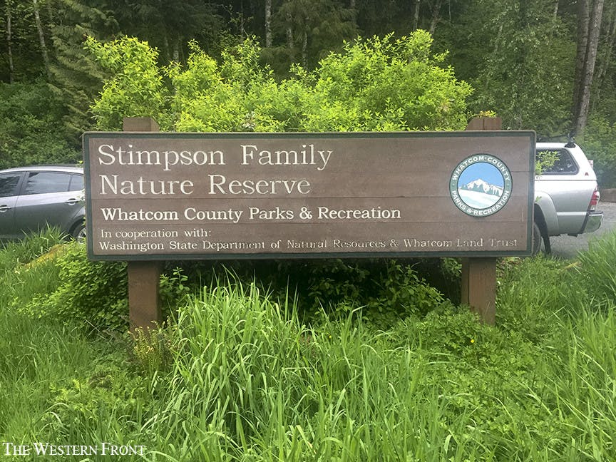 Sascha-Guenter-Schlesinger_StimpsonFamilyTrailblazerblog_240416_001