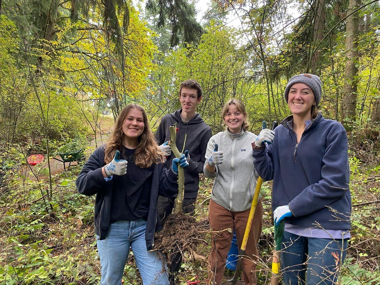  Sehome Hill Arboretum restoration project planned for Earth Day