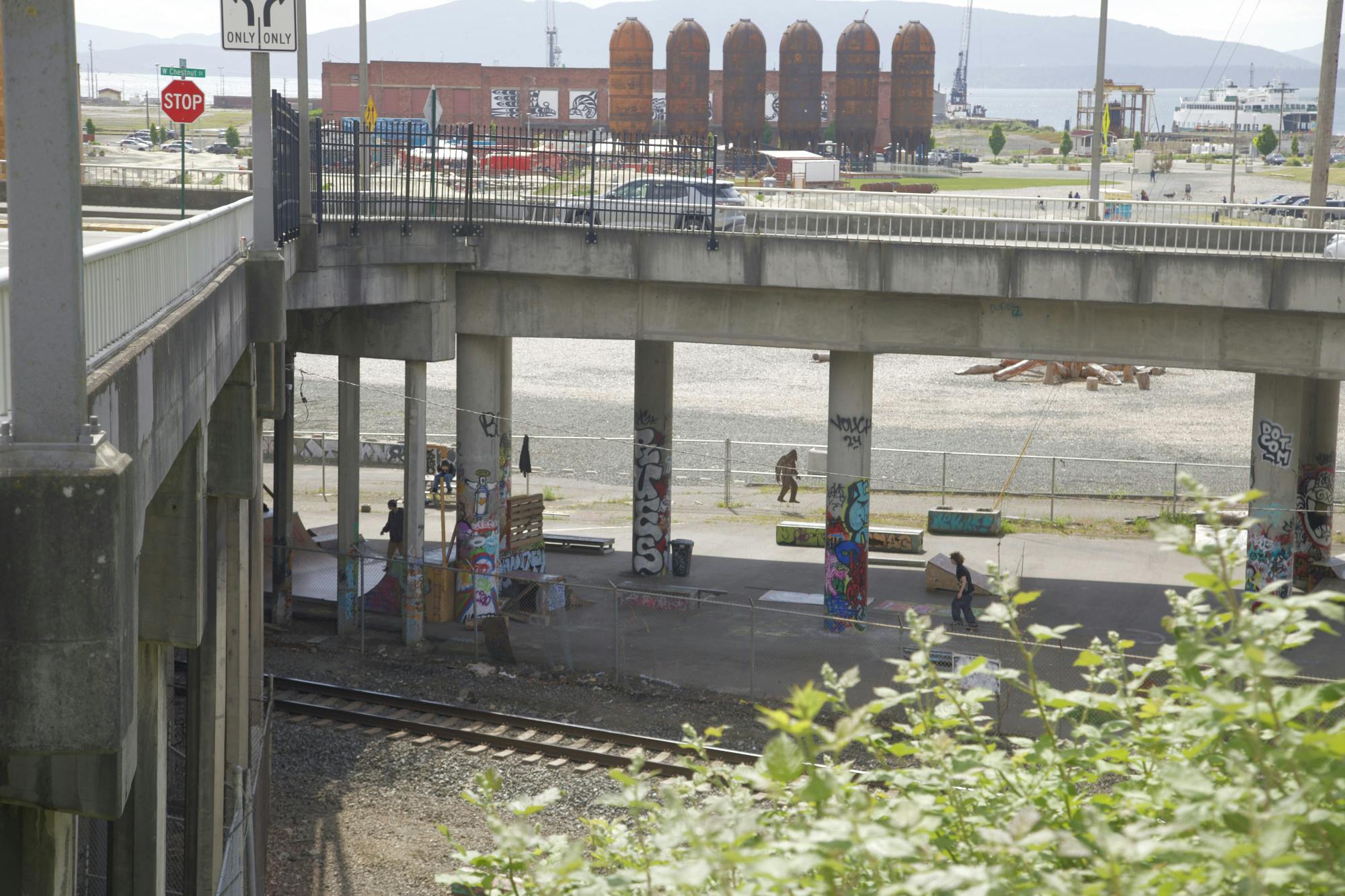Roeder Avenue skate park