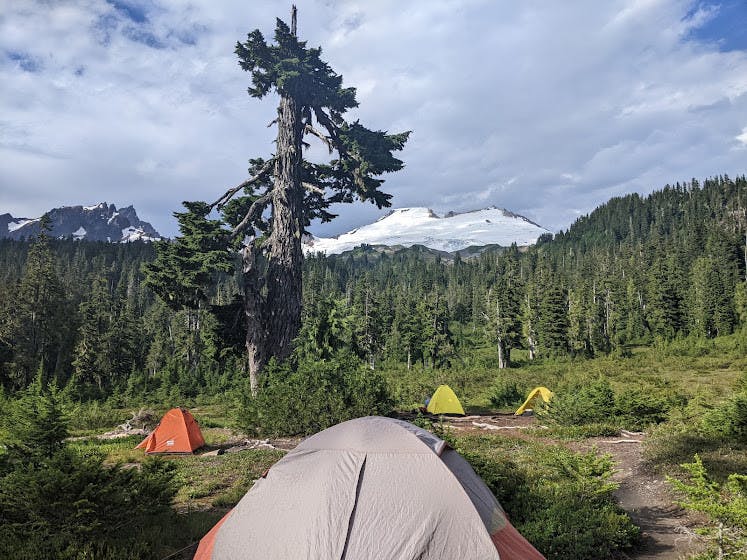  It’s Time To Reconnect Earth 