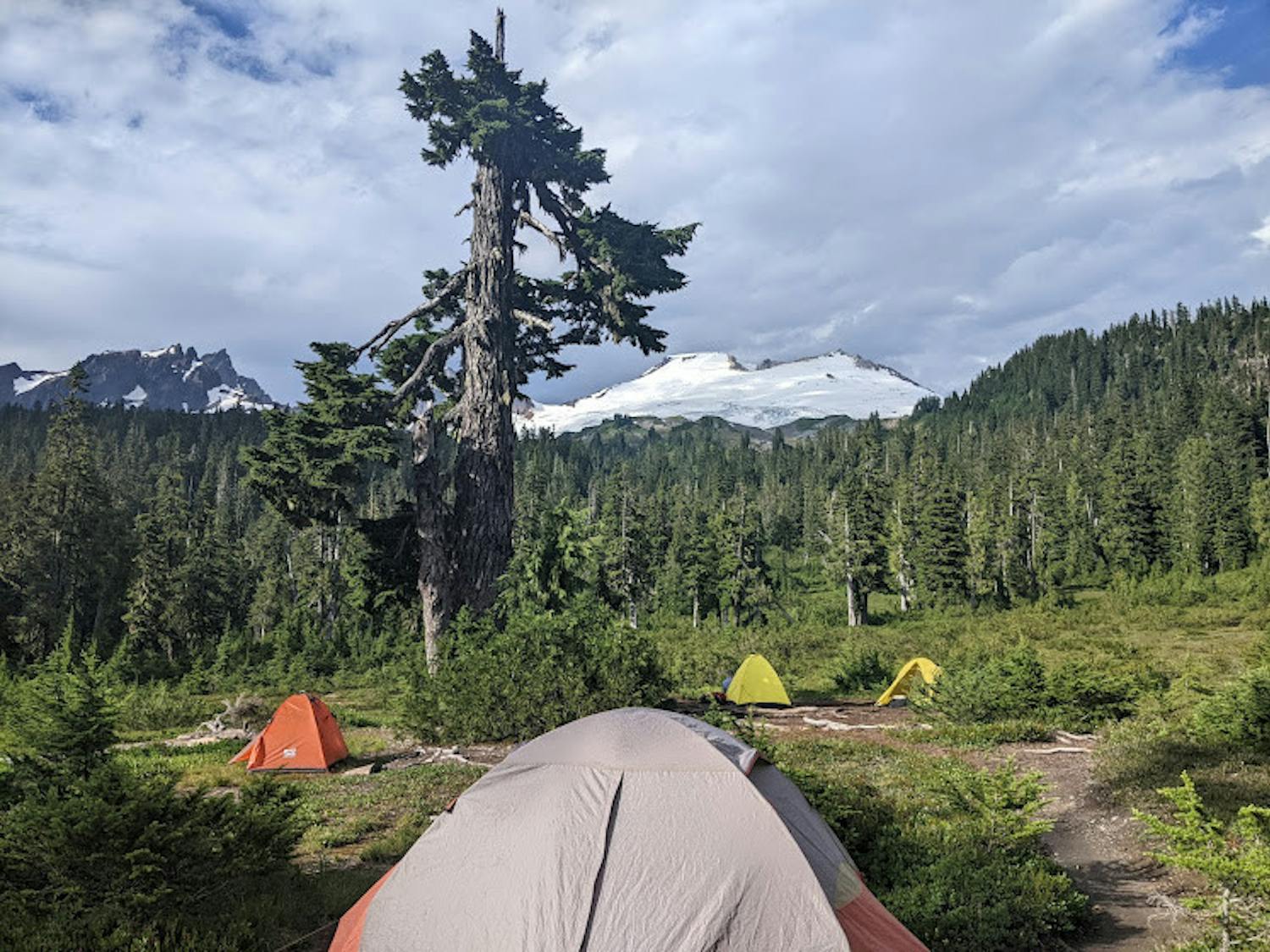 It’s Time To Reconnect Earth