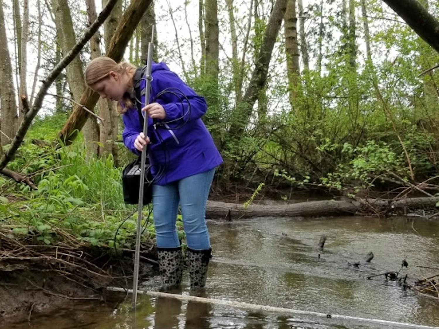 Hailey-Dearing-works-Hooper-850w