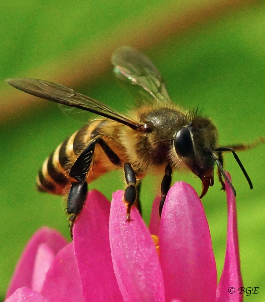 8320955142_a507d9b9dc_o