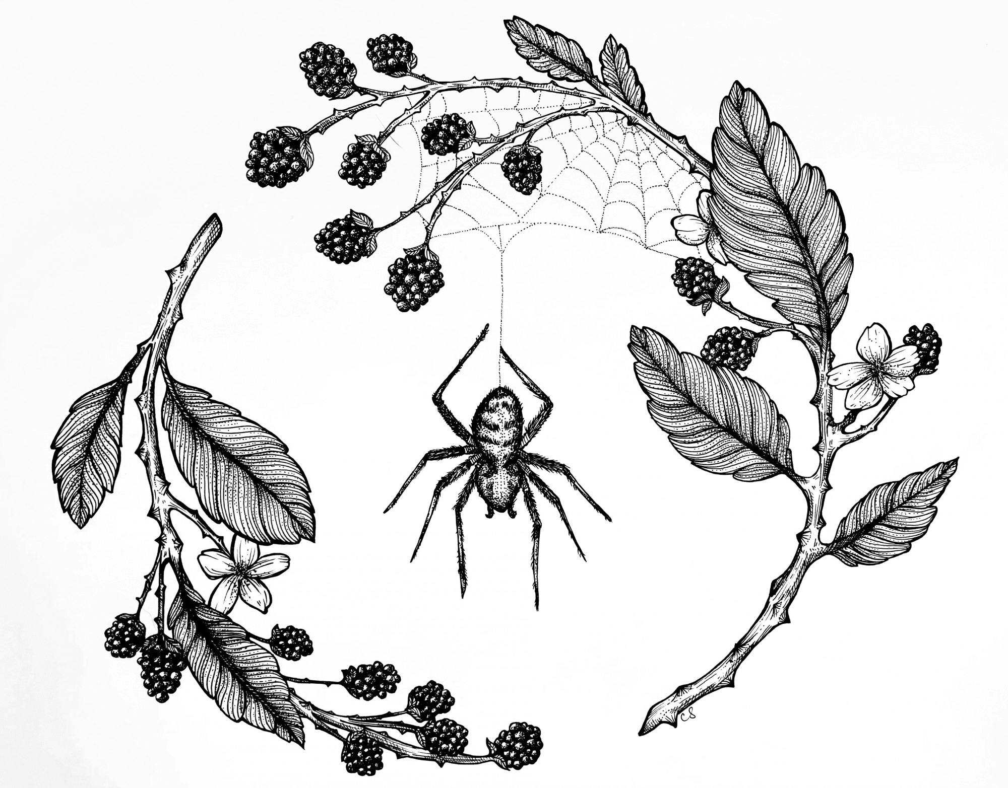 PLANT BASED EXHIBIT HEADER