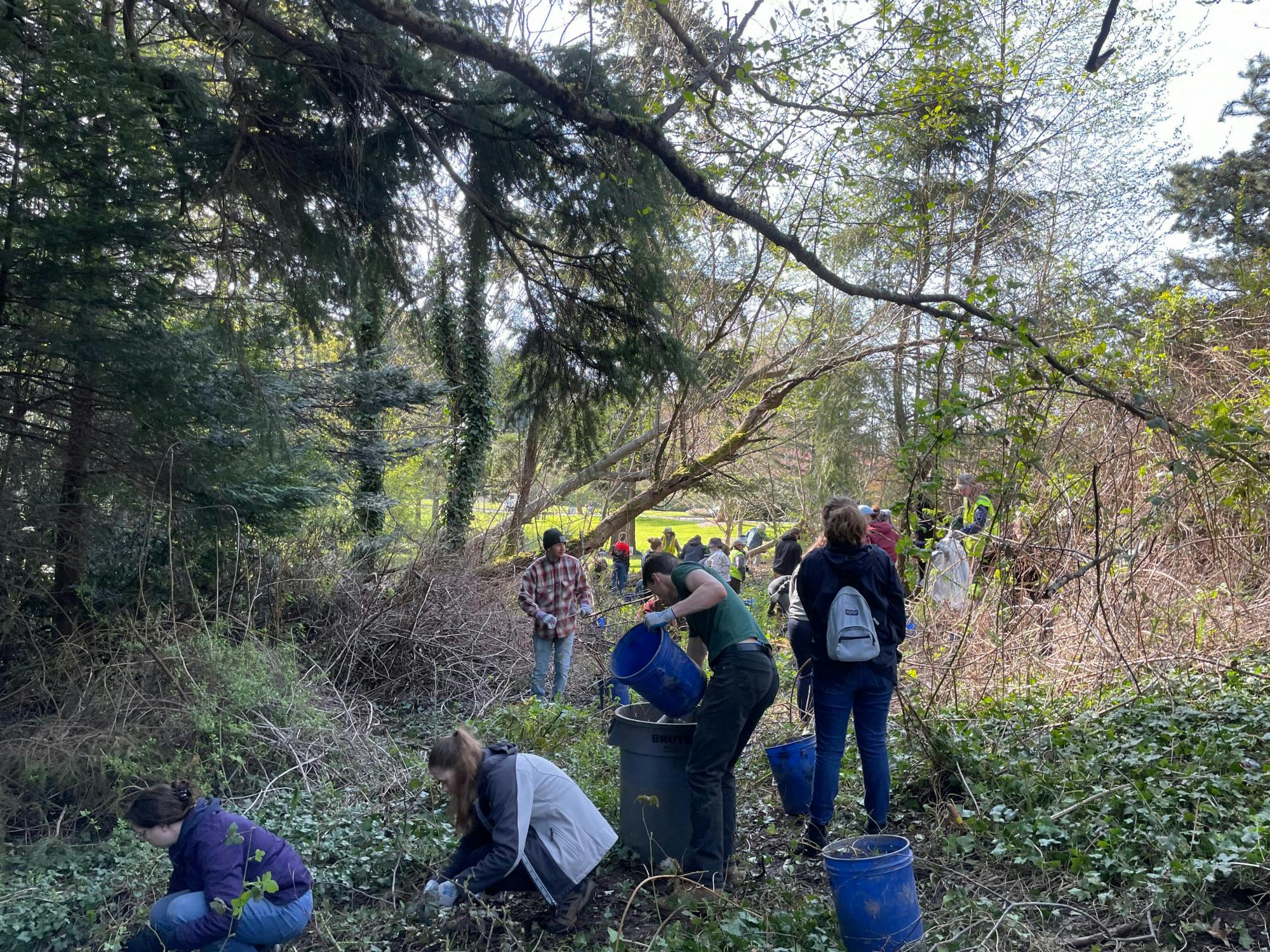 Fairhaven Park Clean Up - 1 of 2