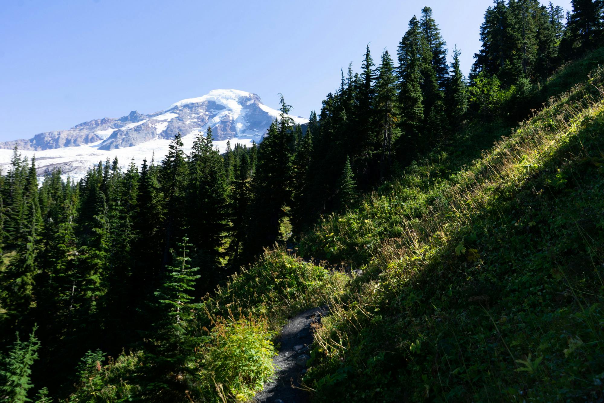 Earth Day, Then and Now Gallery