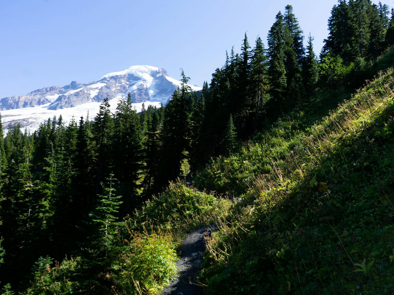 Earth Day, Then and Now Gallery