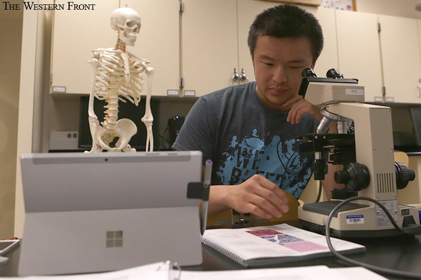 Summer-stipend-online