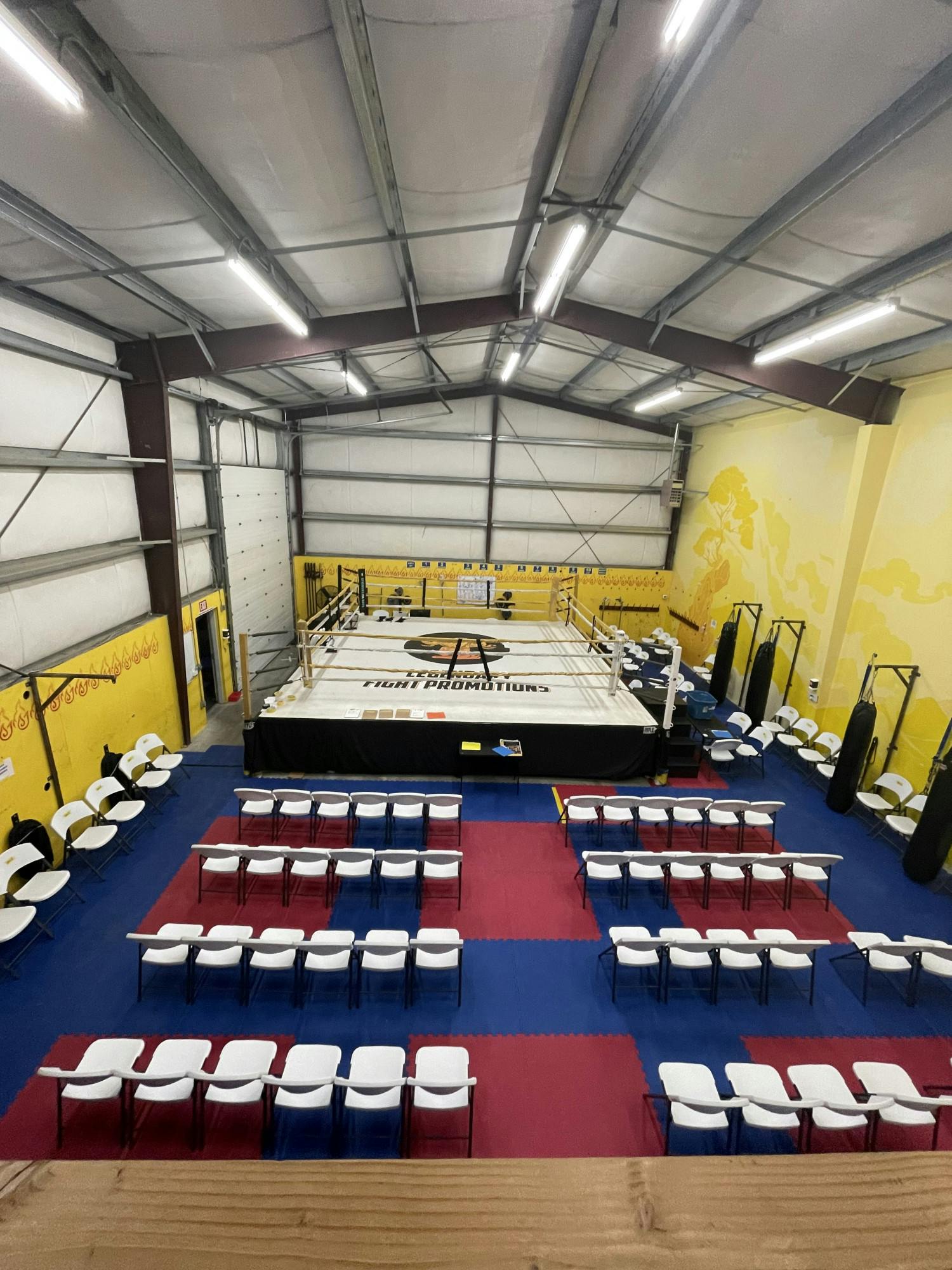 Pandemic Fight Event.jpeg