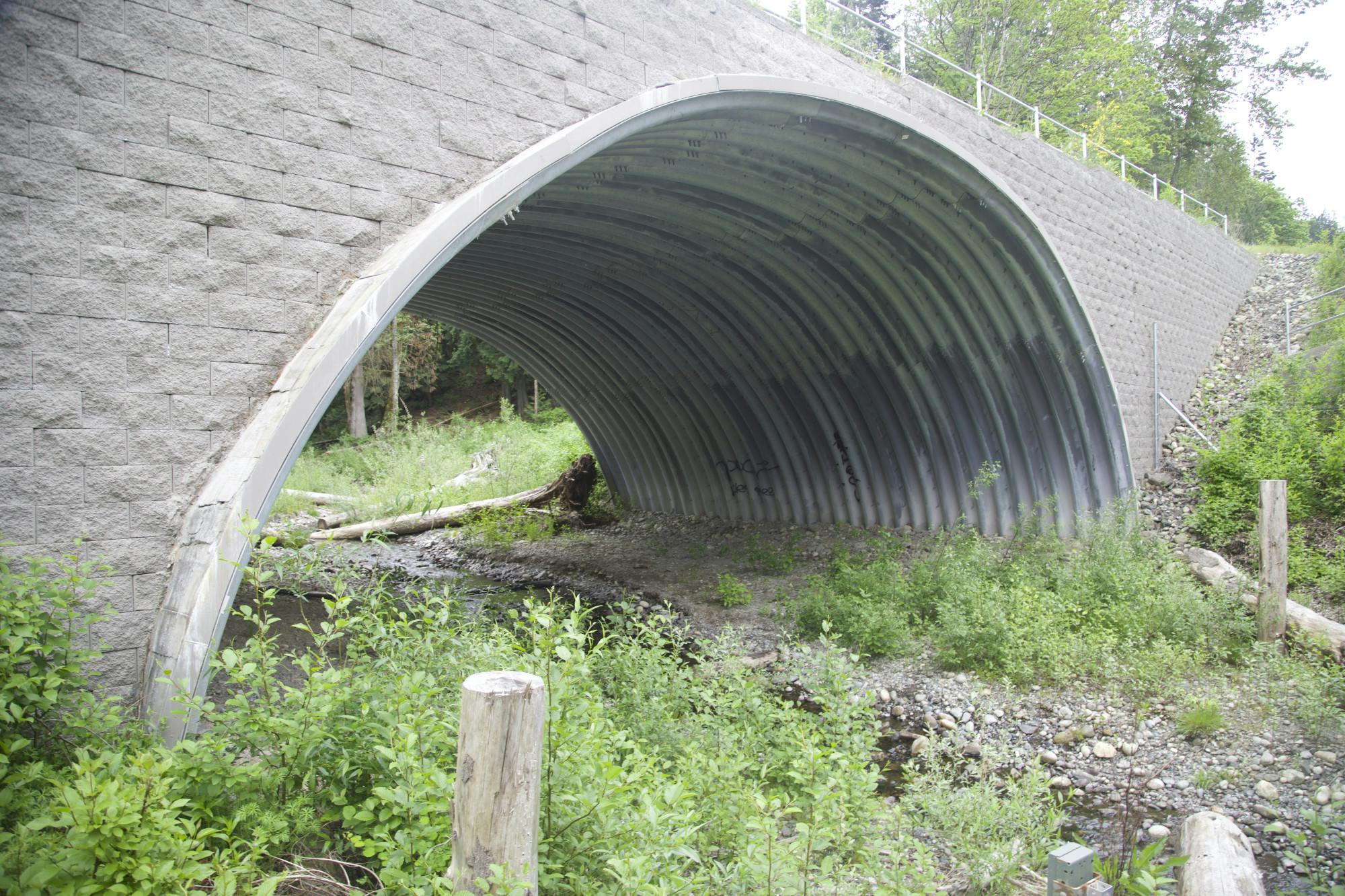 Fish Passage under 33rd St. parallel to I-5 copy.jpg
