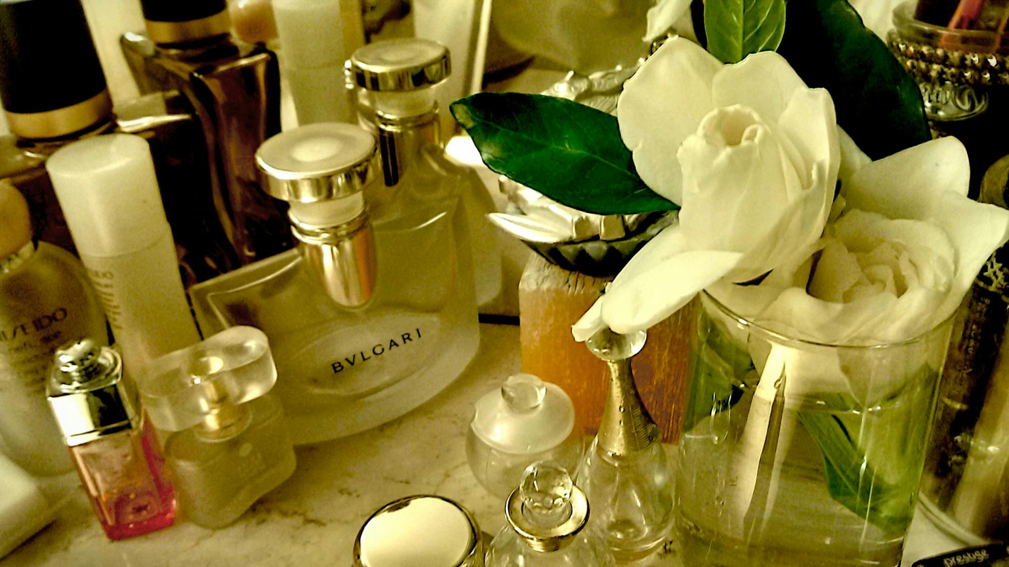 Letter from the Editor Week 2/6