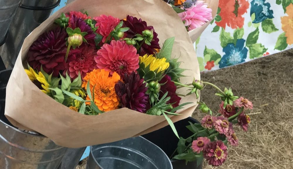 Trple-Wren-Flowers-e1532726625986