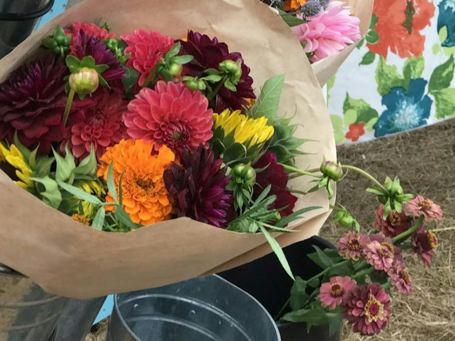 Trple-Wren-Flowers-e1532726625986