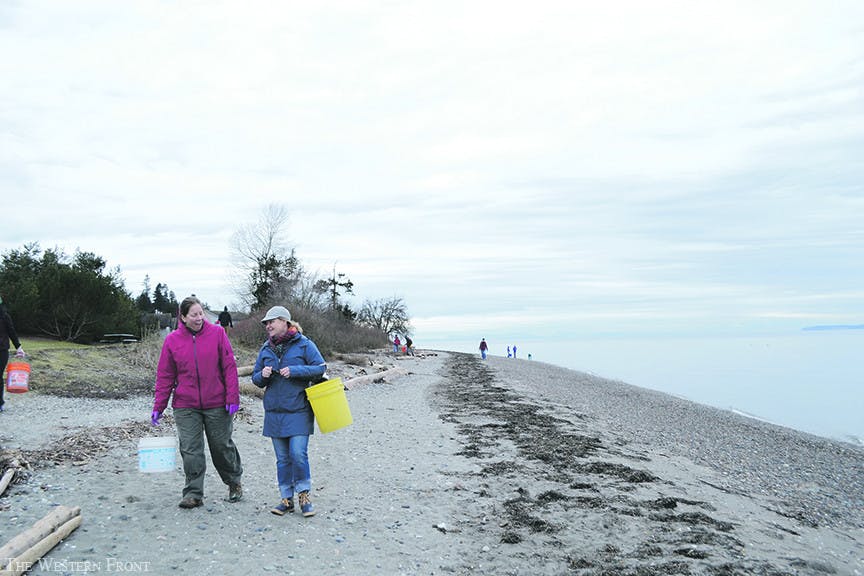 rp_beachcleanup_160117_045