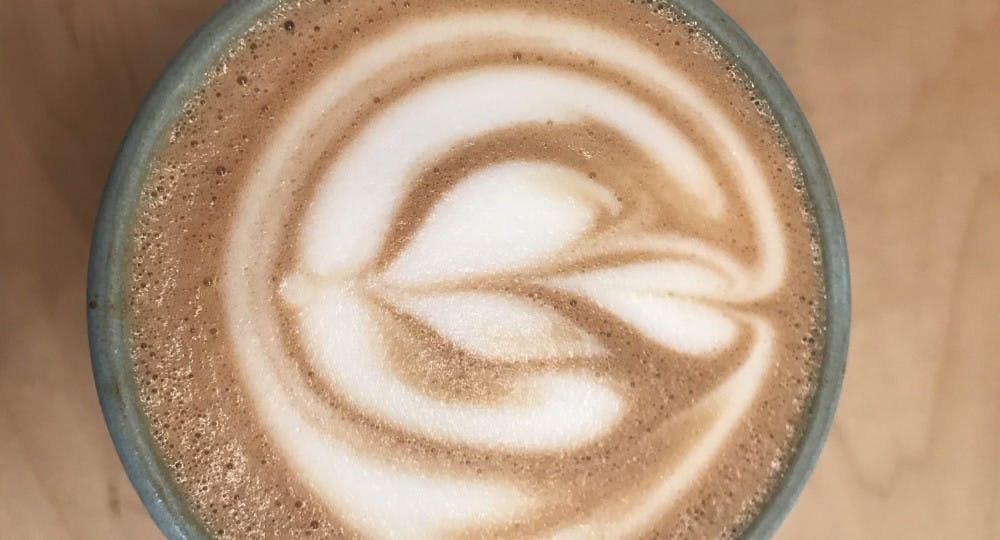 IMG_5584-e1517893633909-scaled