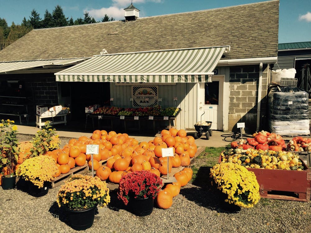 Joes-Courtesy-Online