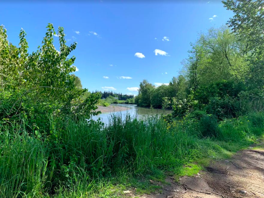 Screen-Shot-2020-05-06-at-8.42.34-PM