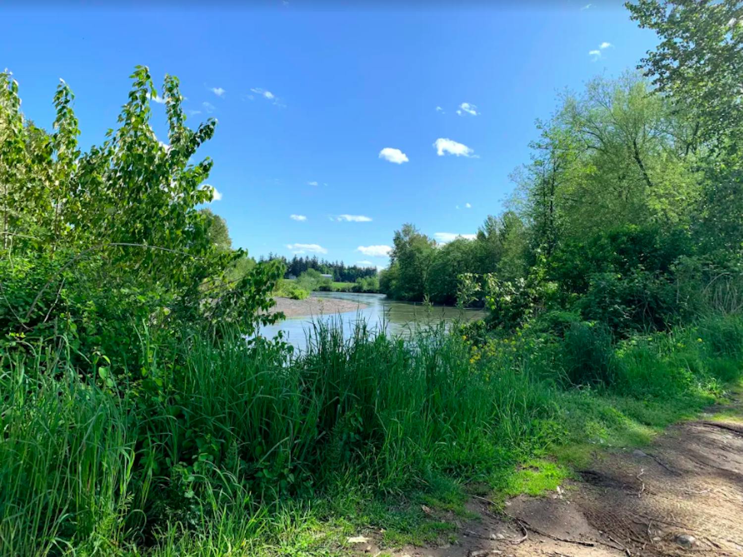 Screen-Shot-2020-05-06-at-8.42.34-PM