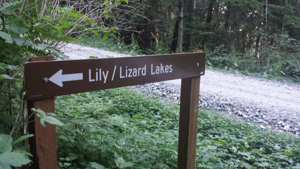 20150629_181209-scaled