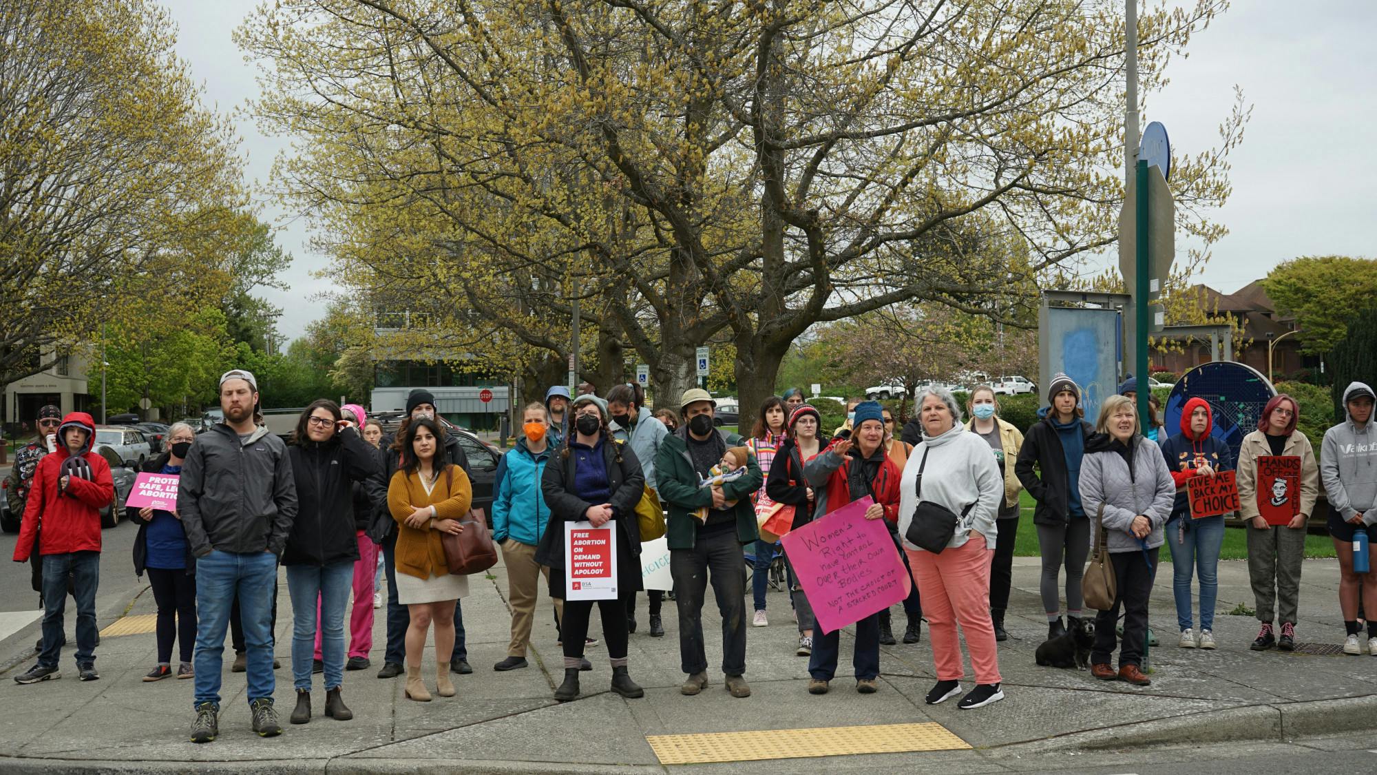 Rally for Roe - 4 of 4