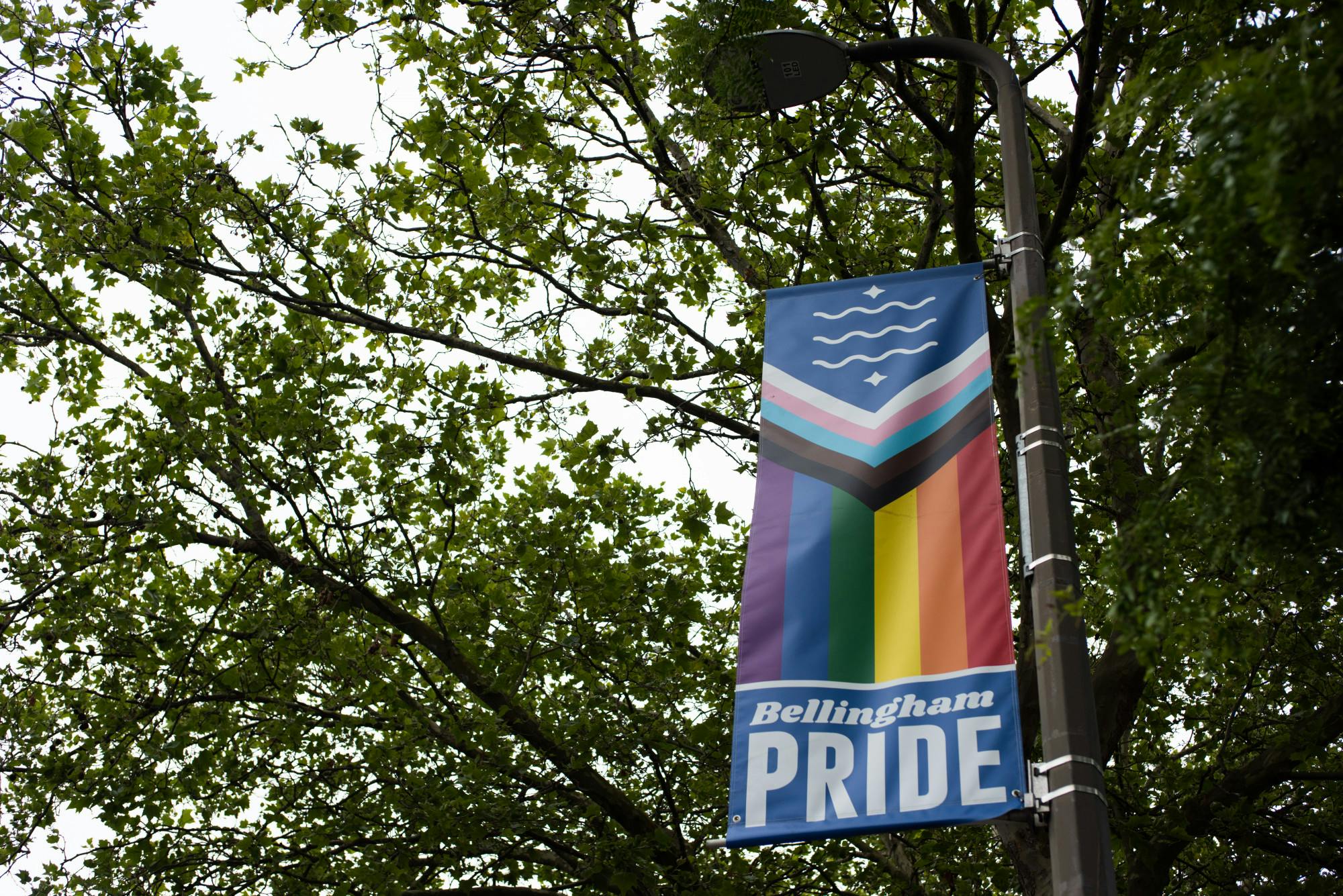 Sea of rainbows marks return of Bellingham’s Pride Parade, Festival