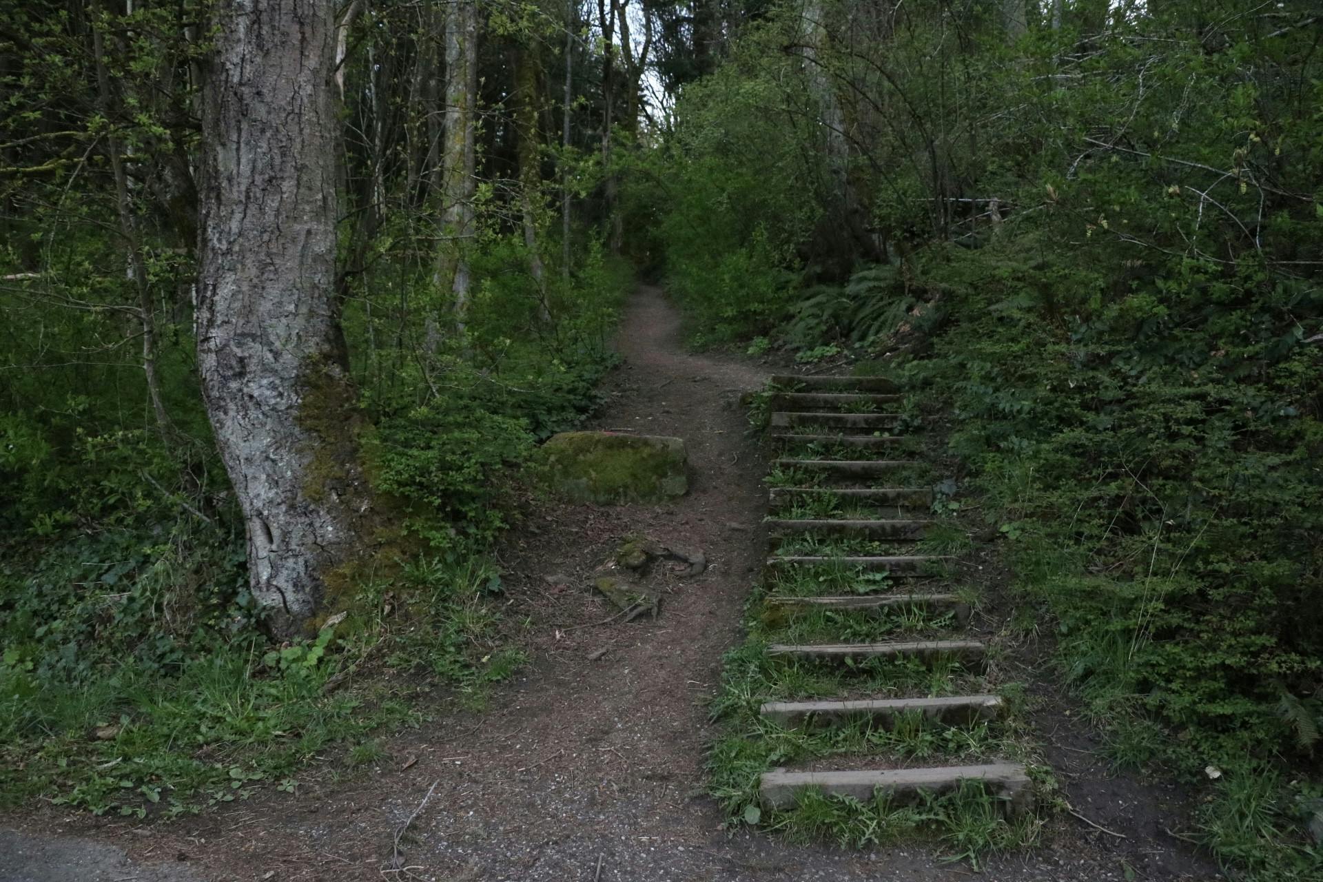 no car no problem - lead image 1 of 3