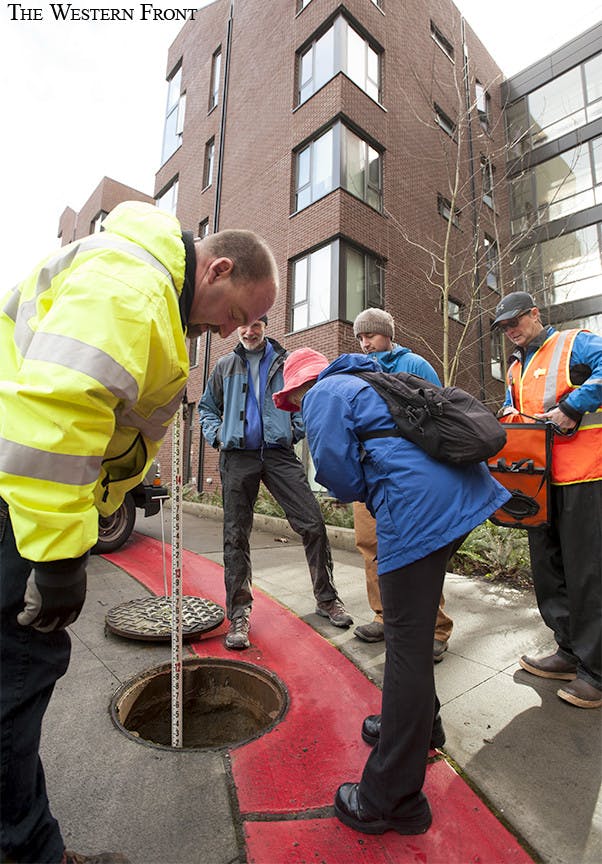 IK_RAINGARDEN-online-2