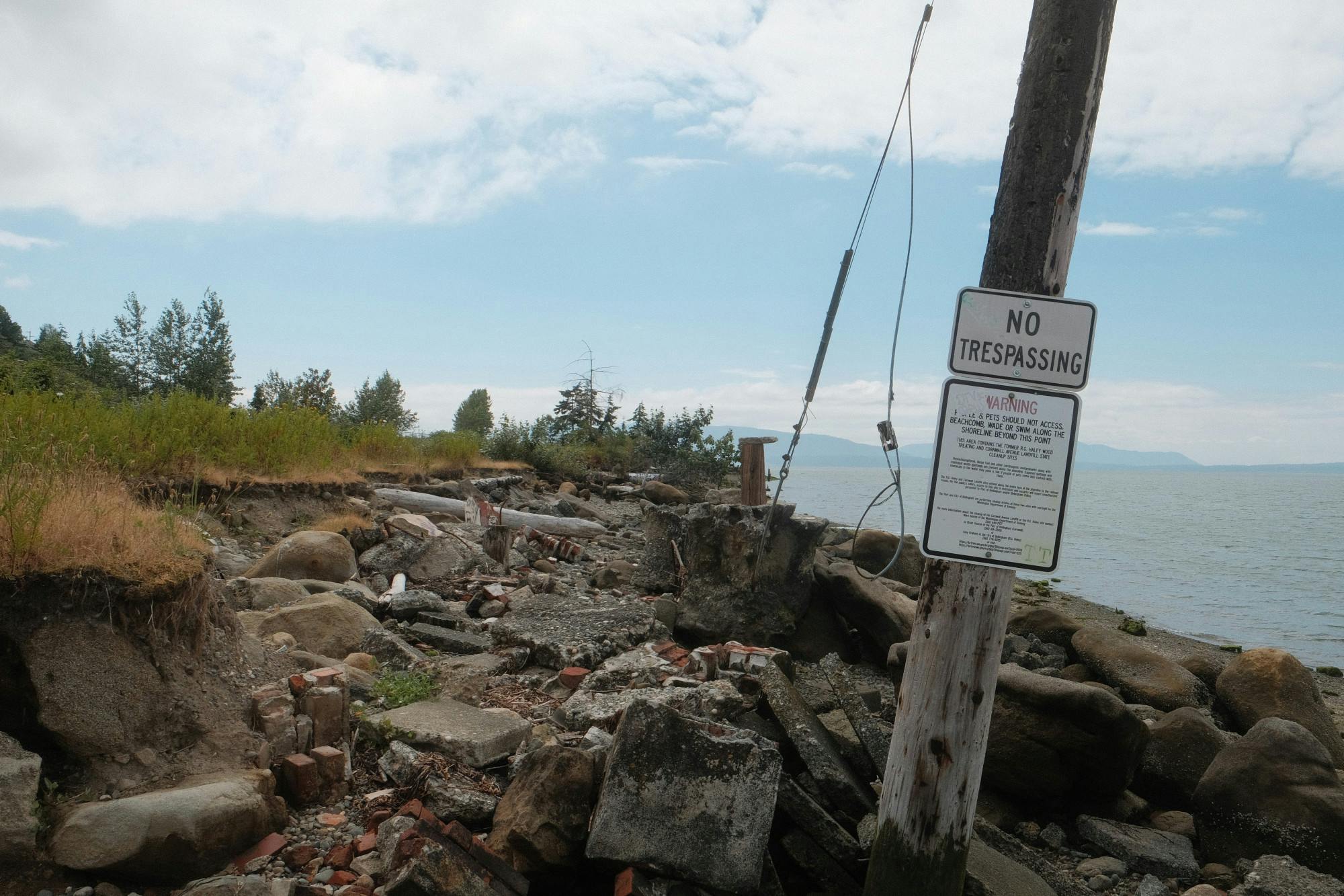 Beach Cleanup 1-of-4.jpg