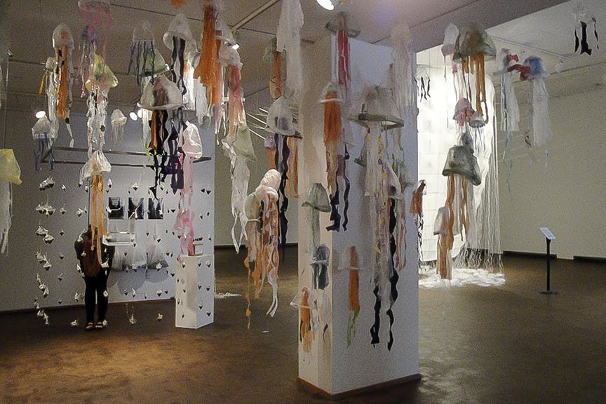 SteamJellyfish_CourtesyCynthia_ONLINE