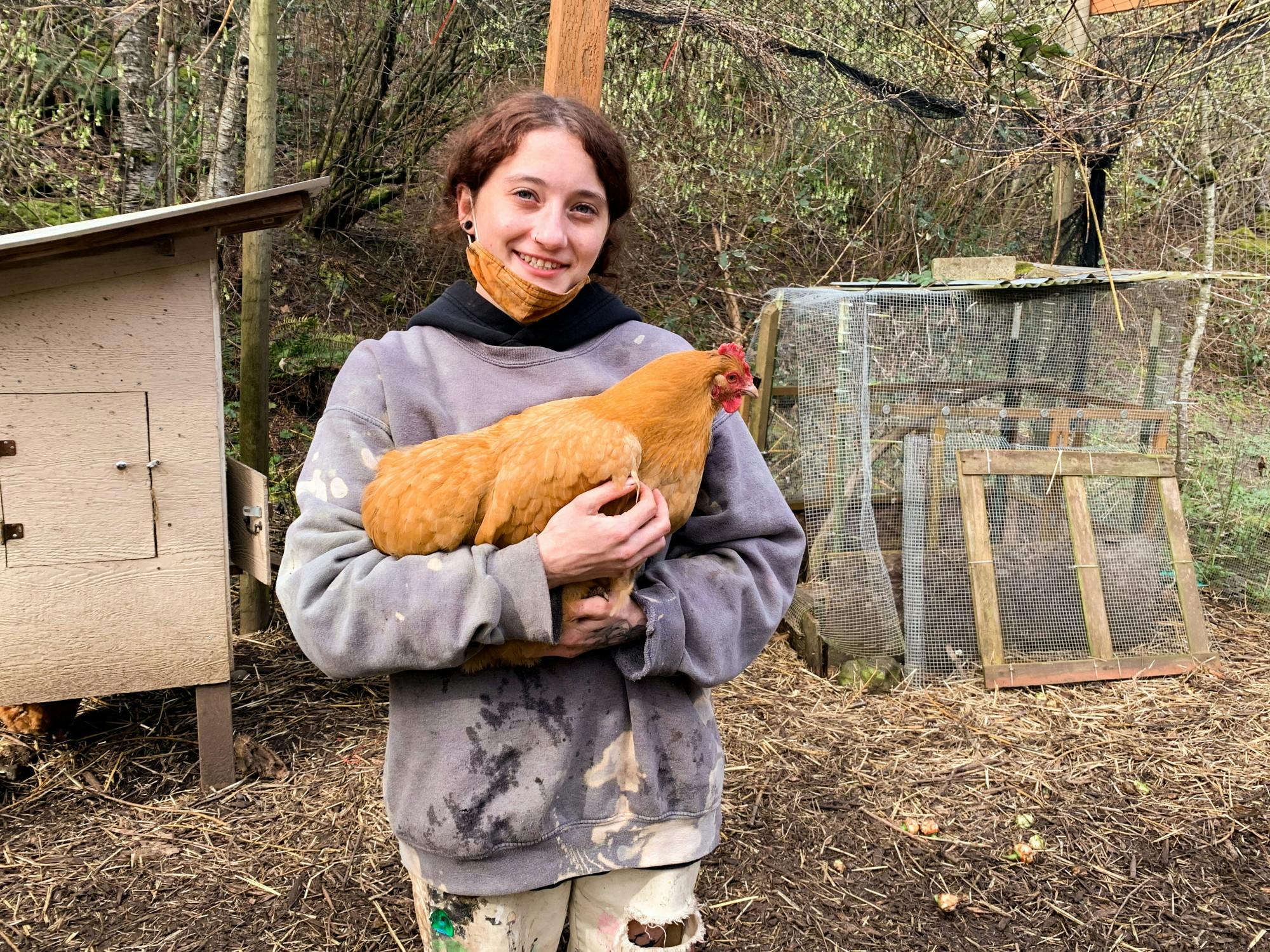 THE OUTBACK FARM HEADER