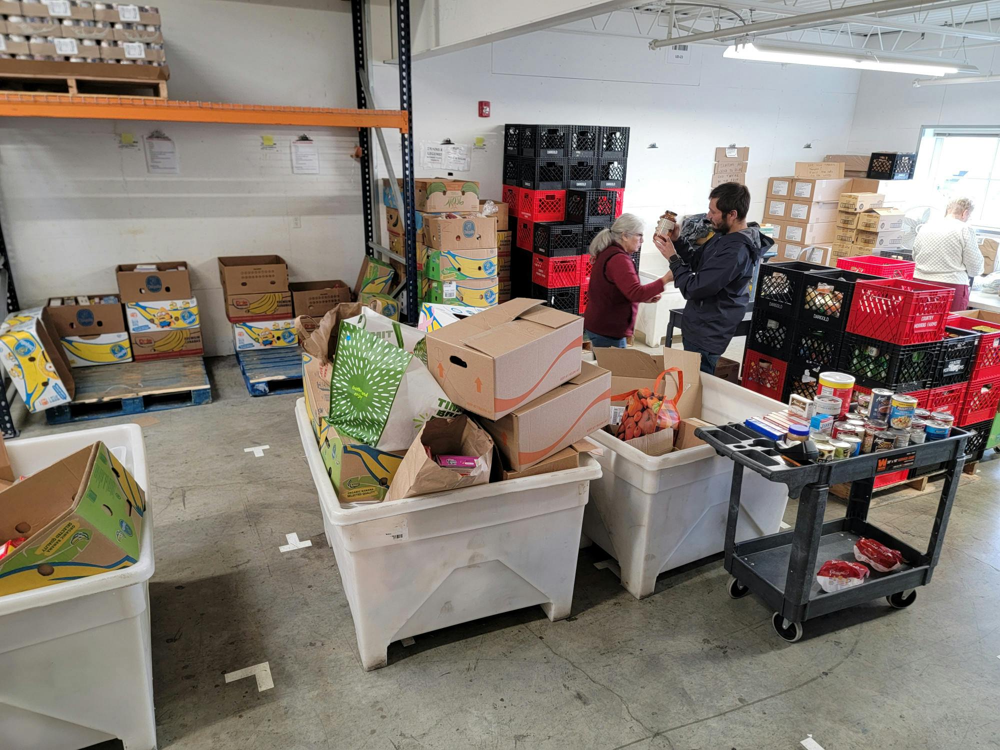 Scanning food labels for expiration dates at food bank