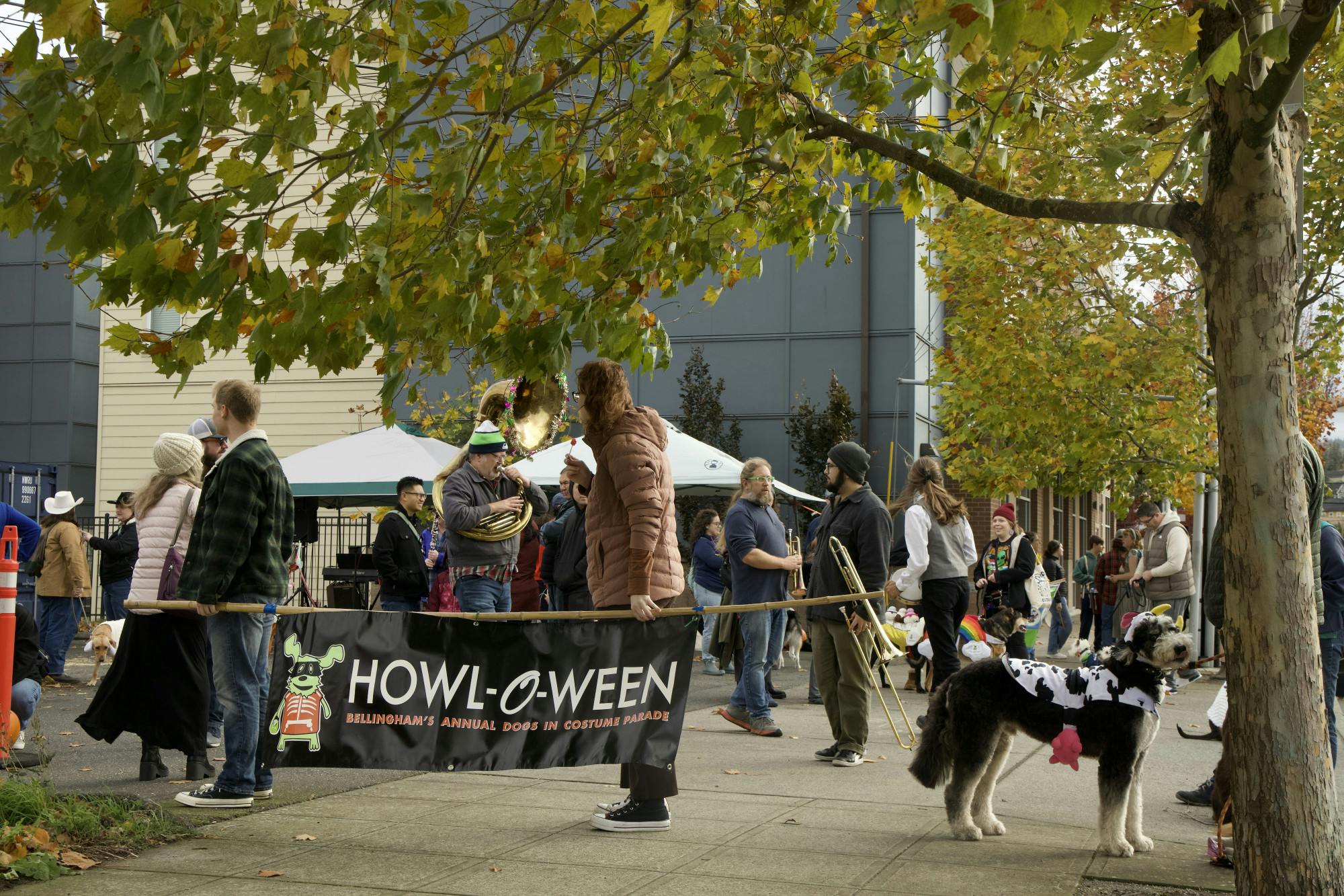 Howl-O-Ween dog parade
