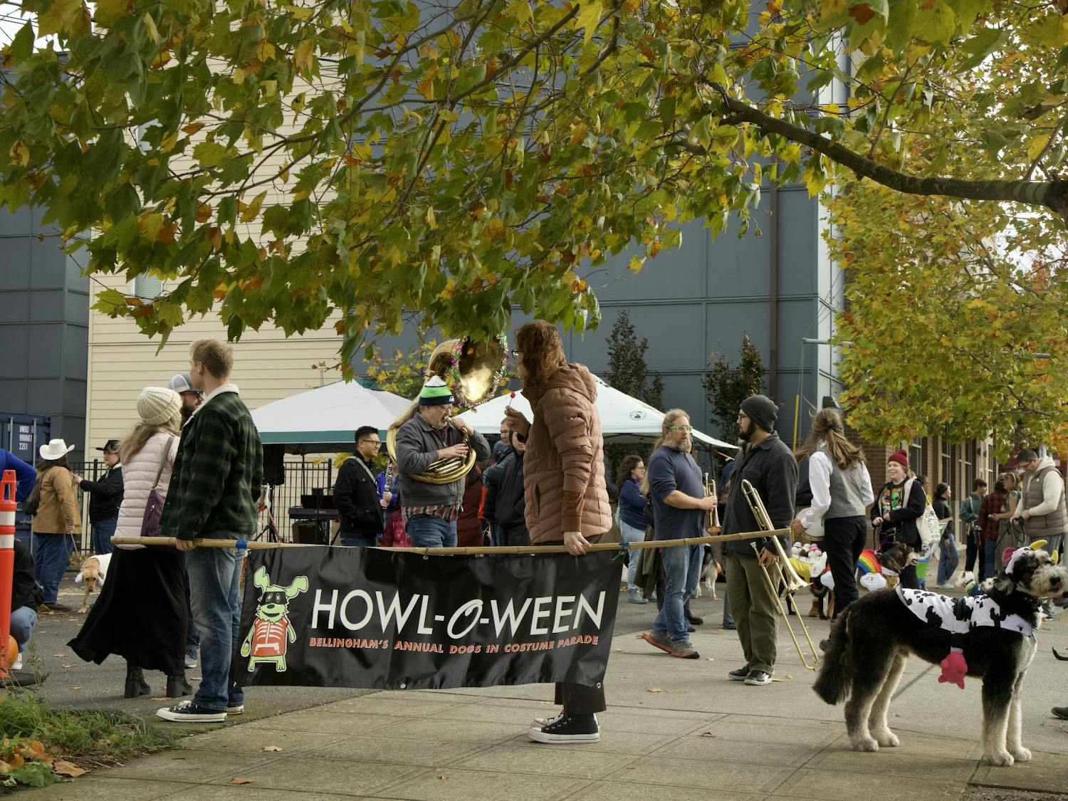 Howl-O-Ween dog parade