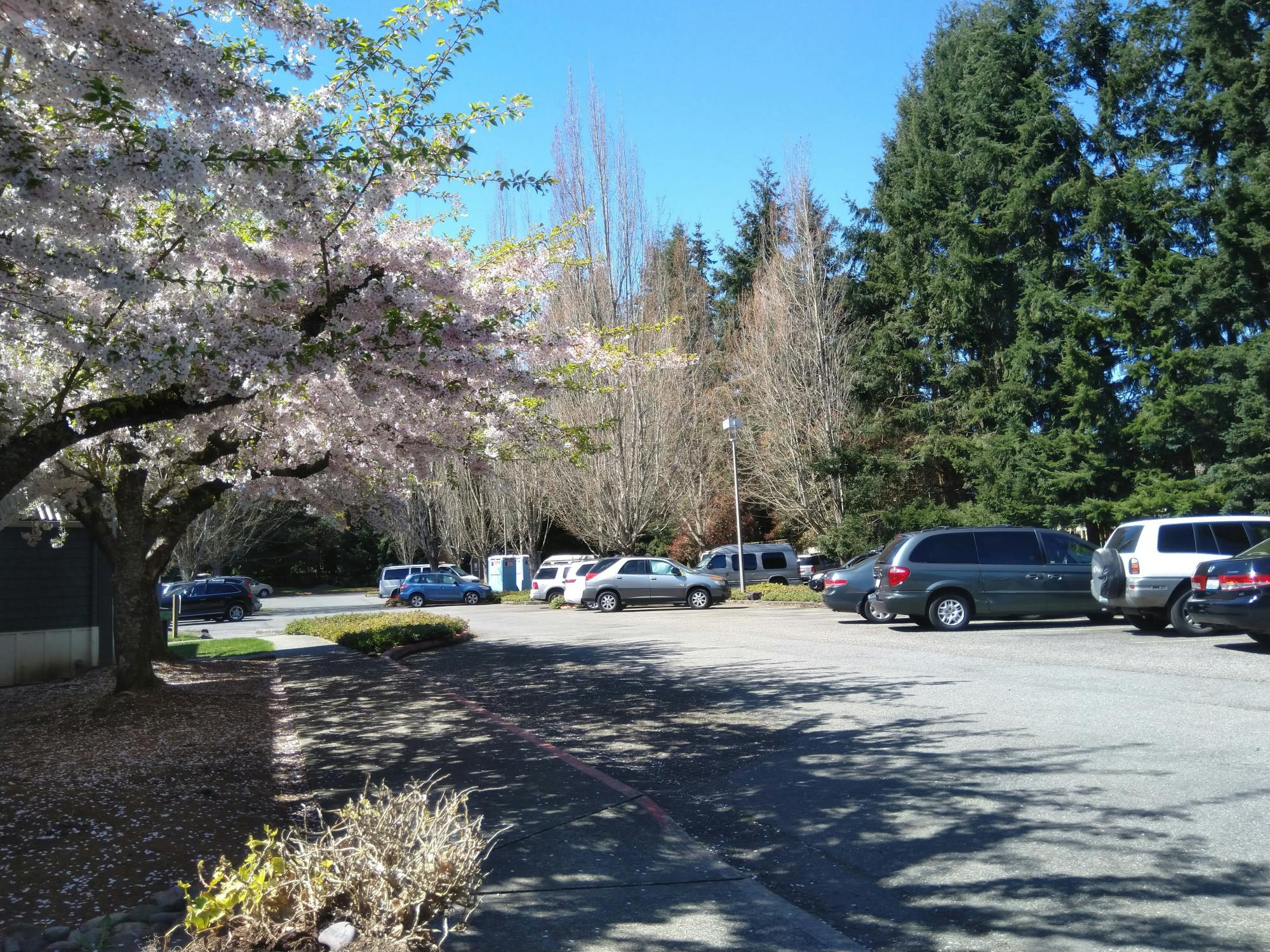 IMG_20210416_133215 (2).jpg