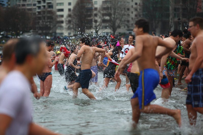 POLARPLUNGE