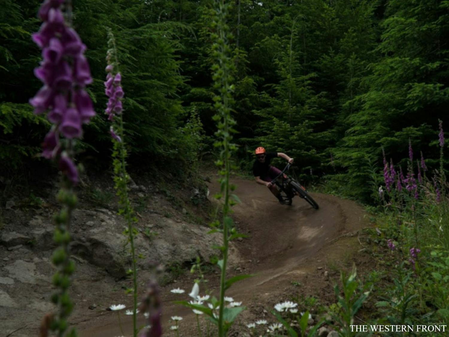 mountainbiker-scaled