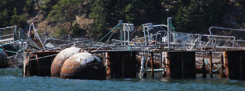 JAllisonSalmonPhoto1-e1517400183509-scaled