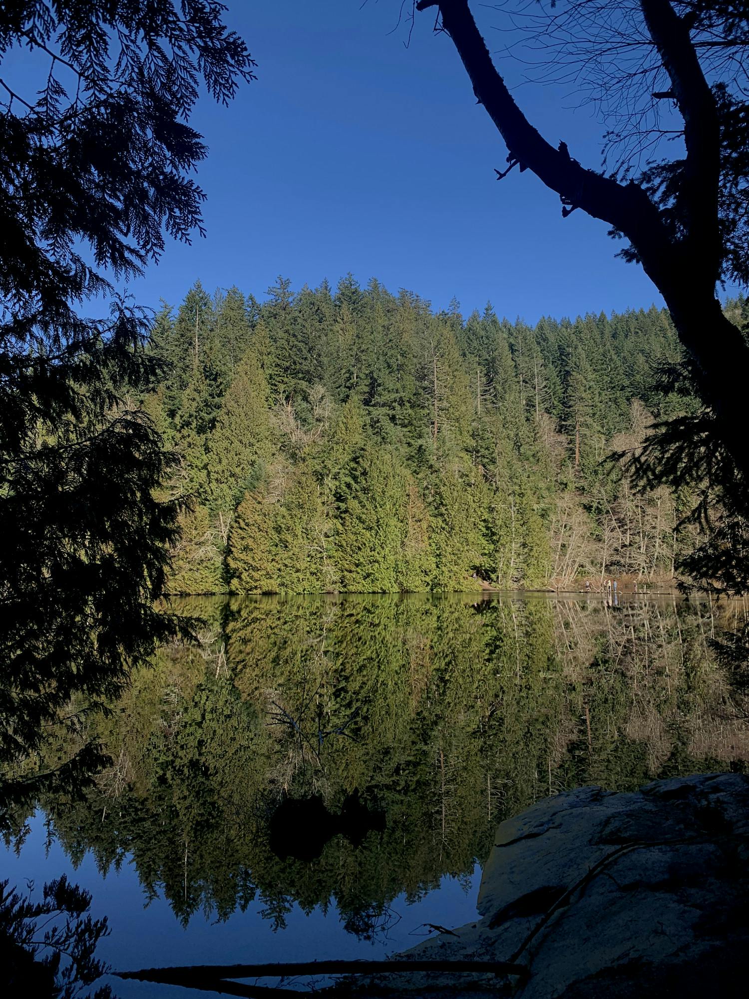 outdoor wellness program - 1 of 1