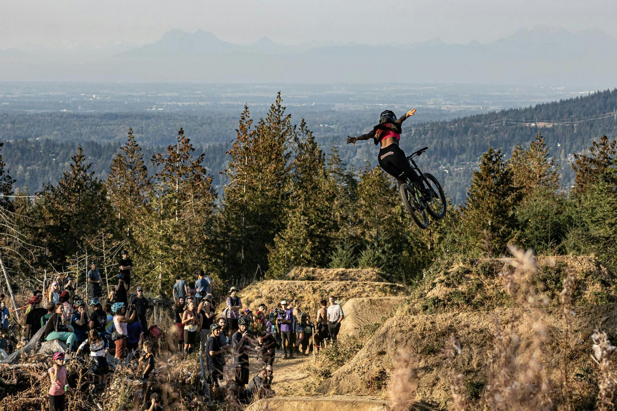 whatcomwood2.jpg