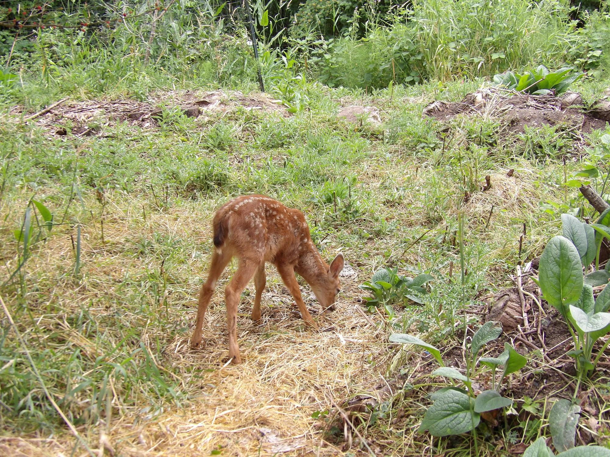 The Outback’s free farmers market shares the harvest