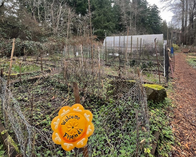 Amidst funding challenges, the Outback Farm continues to stay hopeful