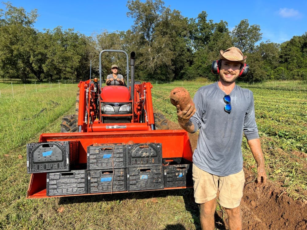 thumbnail_WFF-Emory_Sweet-Potato