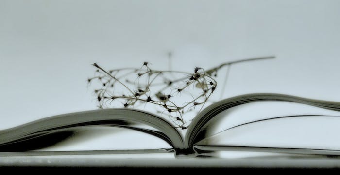 Screen-shot-2014-12-05-at-5.33.36-AM