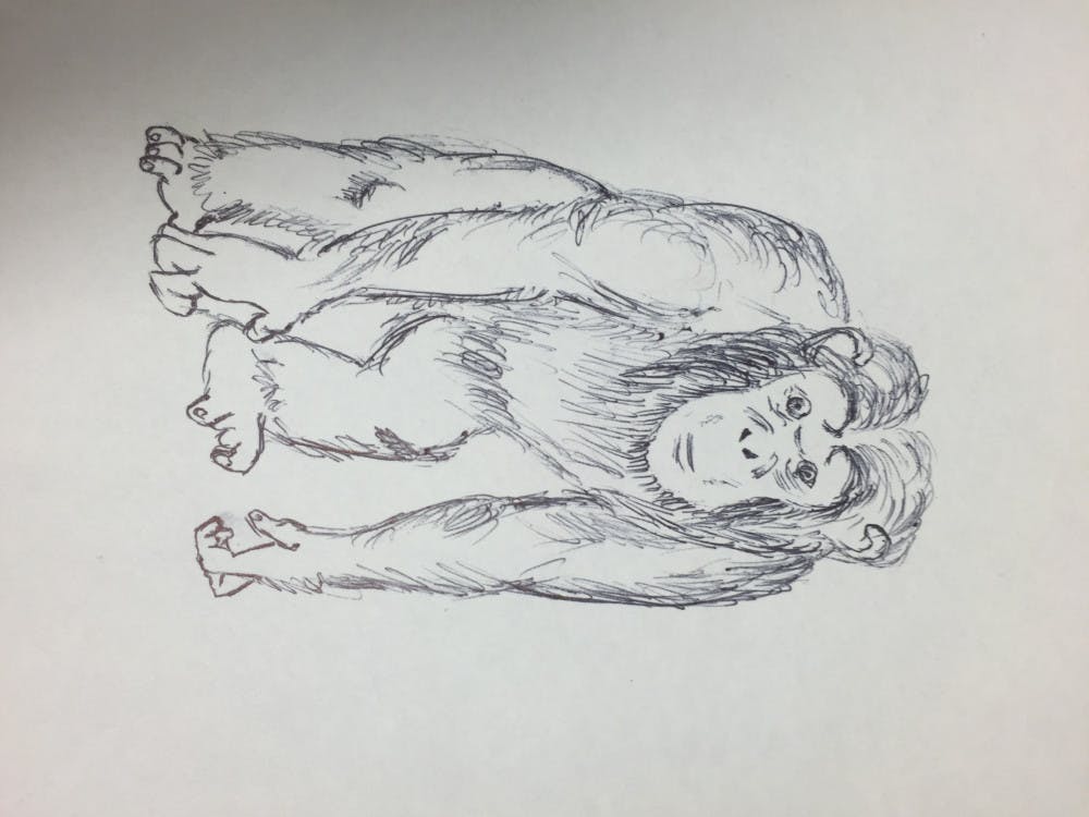 IMG_6312-e1446617605684