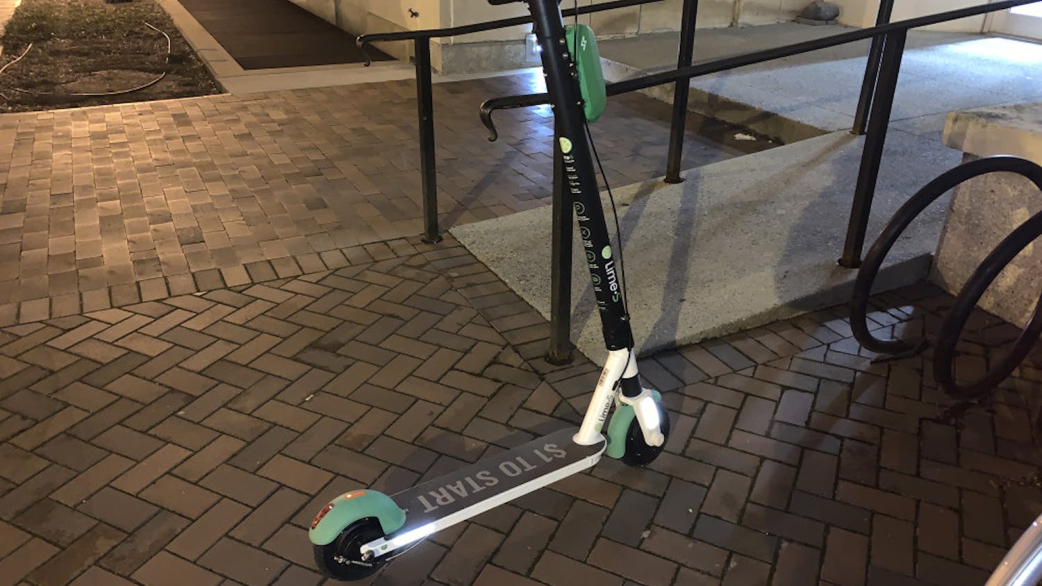 Lime-Forrest-Martin-Photo-Editor-CLR-1