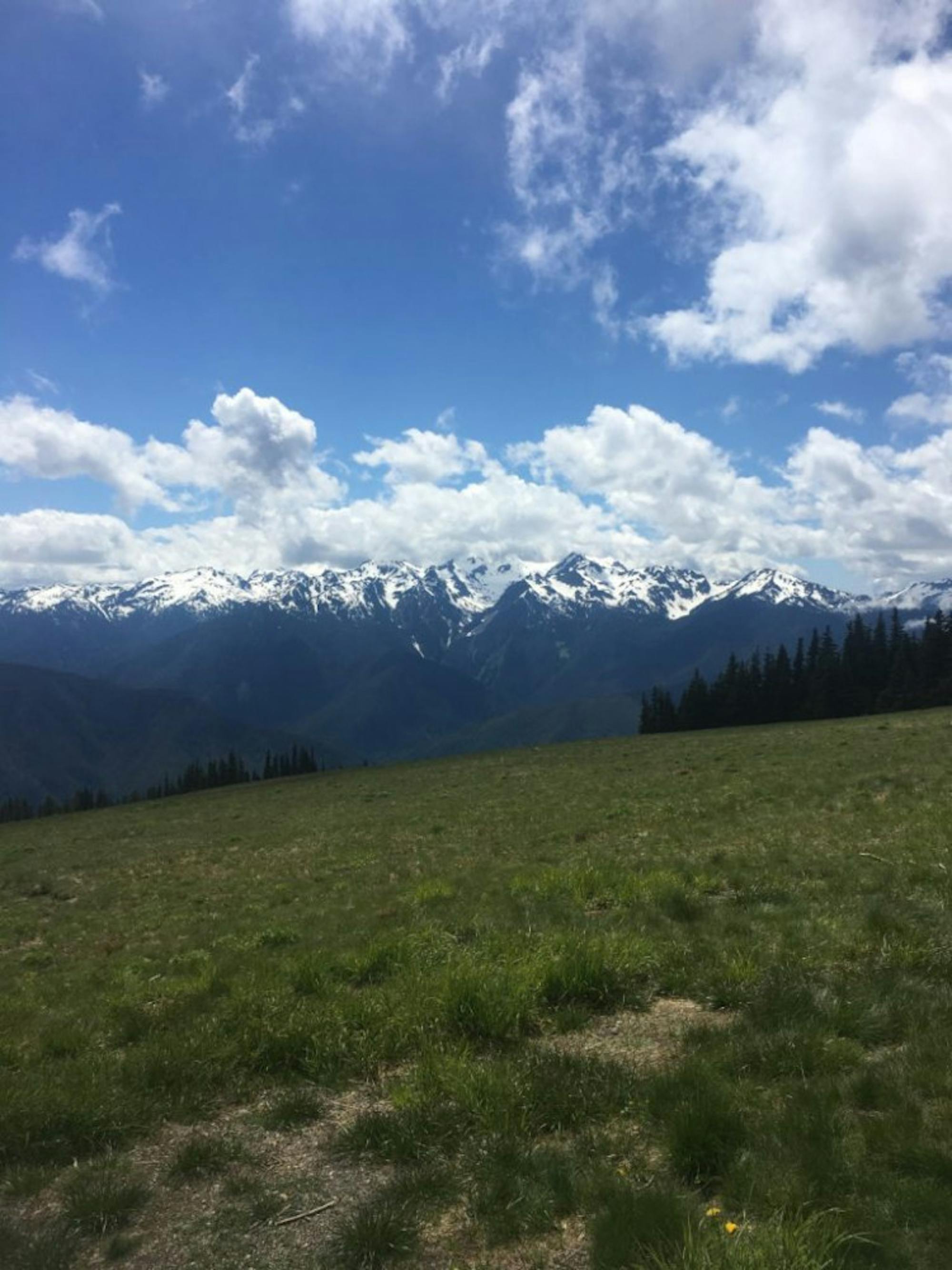 Northwest-768x1024