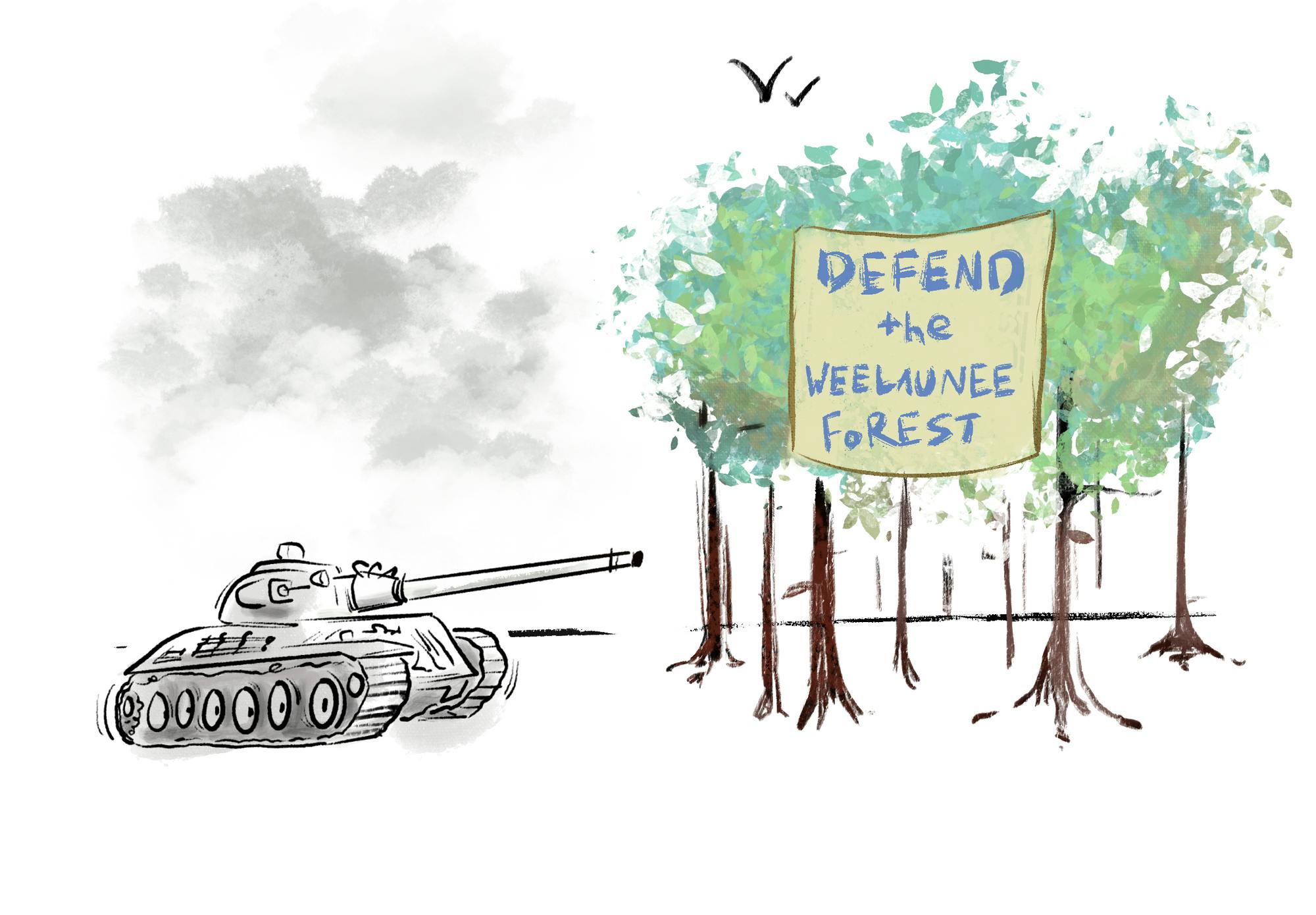 Ha-tien Nguyen/Senior Staff Illustrator